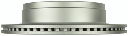 Bosch Disc Brake Rotor 20010449