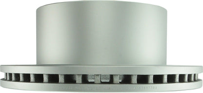 Bosch Disc Brake Rotor 20010461