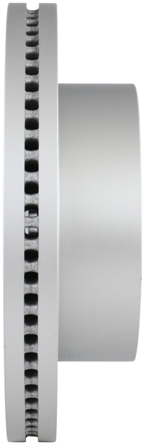 Bosch Disc Brake Rotor 20010480