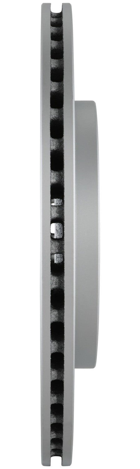 Bosch Disc Brake Rotor 20010485