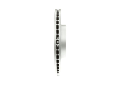 Bosch Disc Brake Rotor 20011443