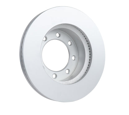 Bosch Disc Brake Rotor 20011571