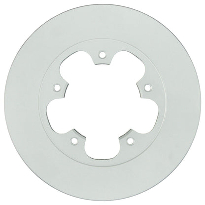 Bosch Disc Brake Rotor 20011626