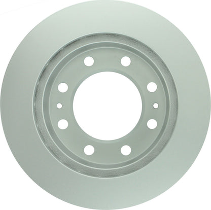 Bosch Disc Brake Rotor 25010556