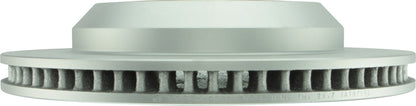 Bosch Disc Brake Rotor 25010591