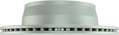 Bosch Disc Brake Rotor 25010646