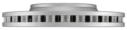 Bosch Disc Brake Rotor 25010716