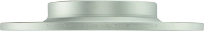 Bosch Disc Brake Rotor 34010911