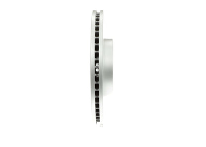 Bosch Disc Brake Rotor 34011590