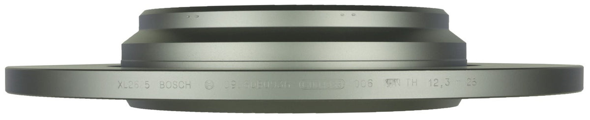 Bosch Disc Brake Rotor 36010942