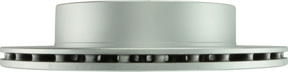 Bosch Disc Brake Rotor 48011206