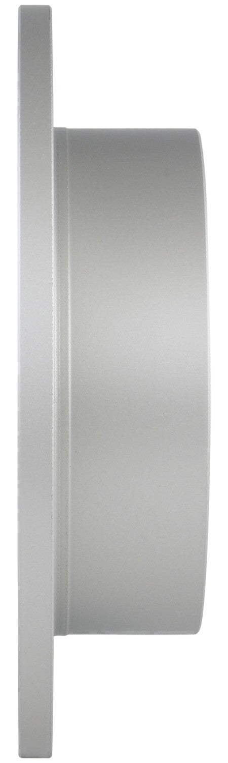 Bosch Disc Brake Rotor 50011227