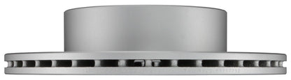 Bosch Disc Brake Rotor 50011231