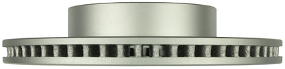 Bosch Disc Brake Rotor 50011245