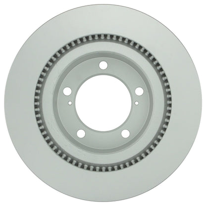 Bosch Disc Brake Rotor 50011319