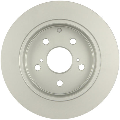 Bosch Disc Brake Rotor 50011480