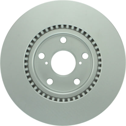 Bosch Disc Brake Rotor 50011487