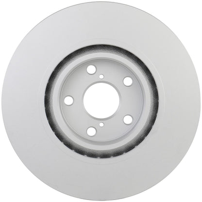 Bosch Disc Brake Rotor 50011491
