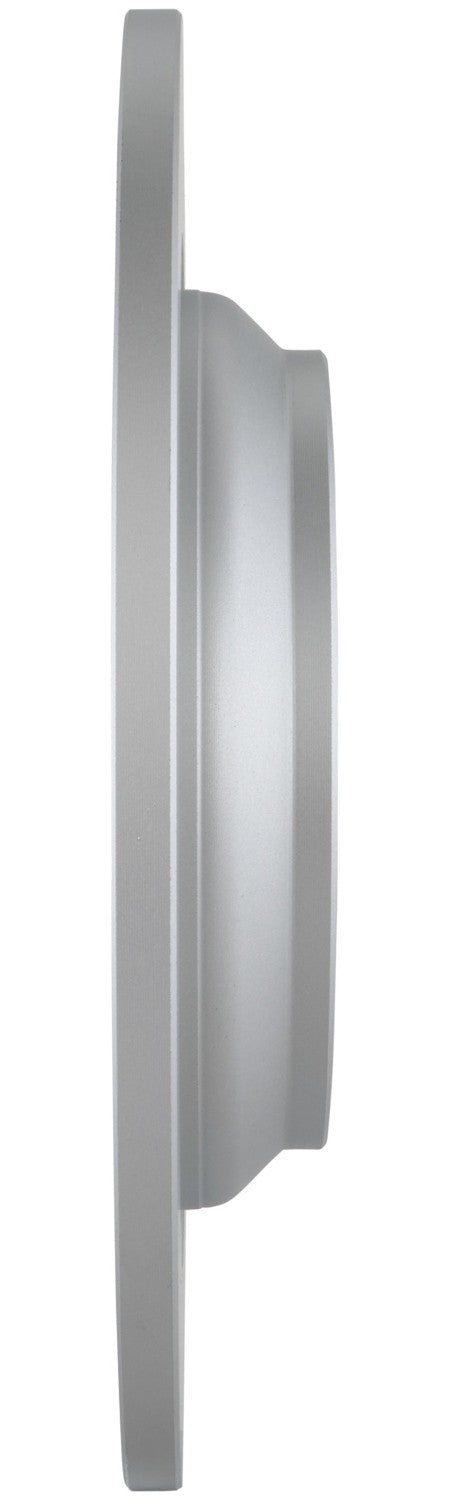 Bosch Disc Brake Rotor 52011373