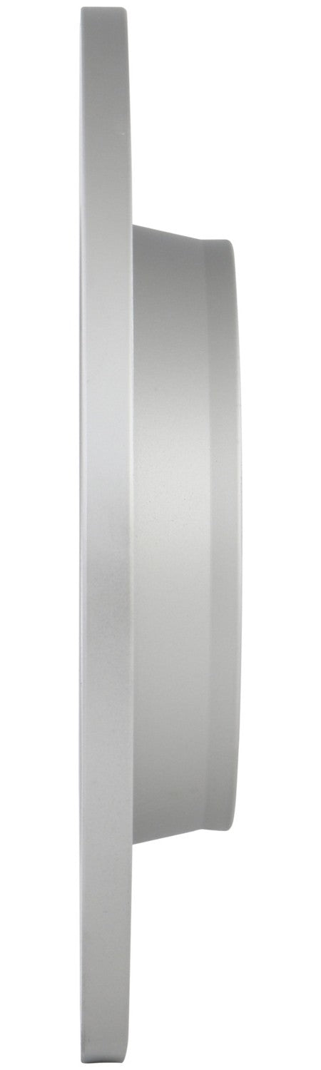 Bosch Disc Brake Rotor 53011399