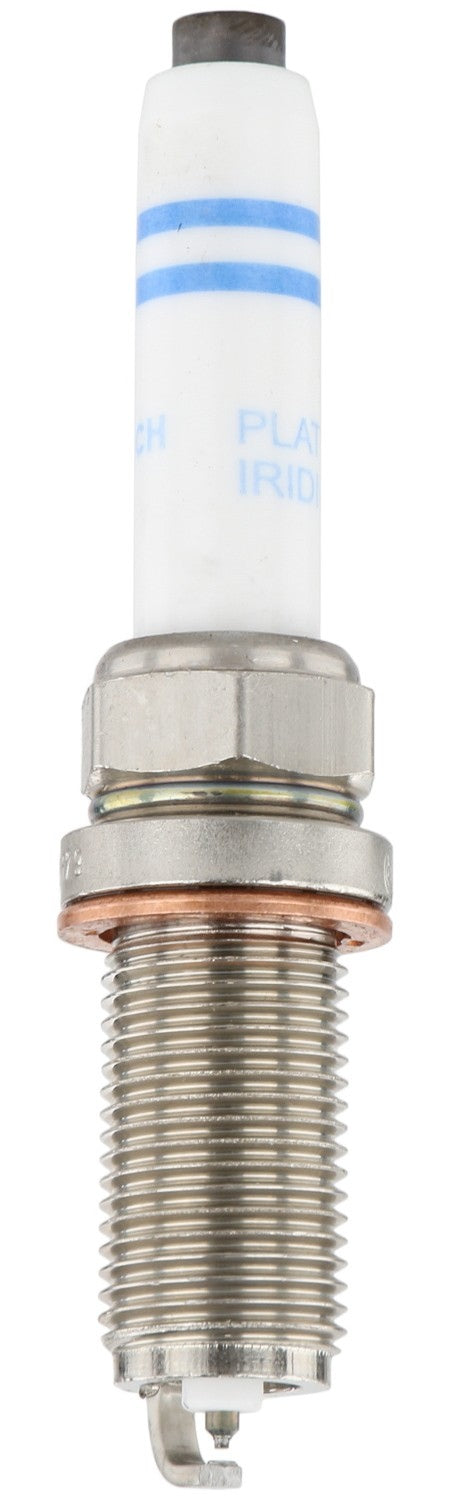 Bosch Spark Plug 8501