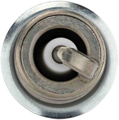 Bosch Spark Plug 9607