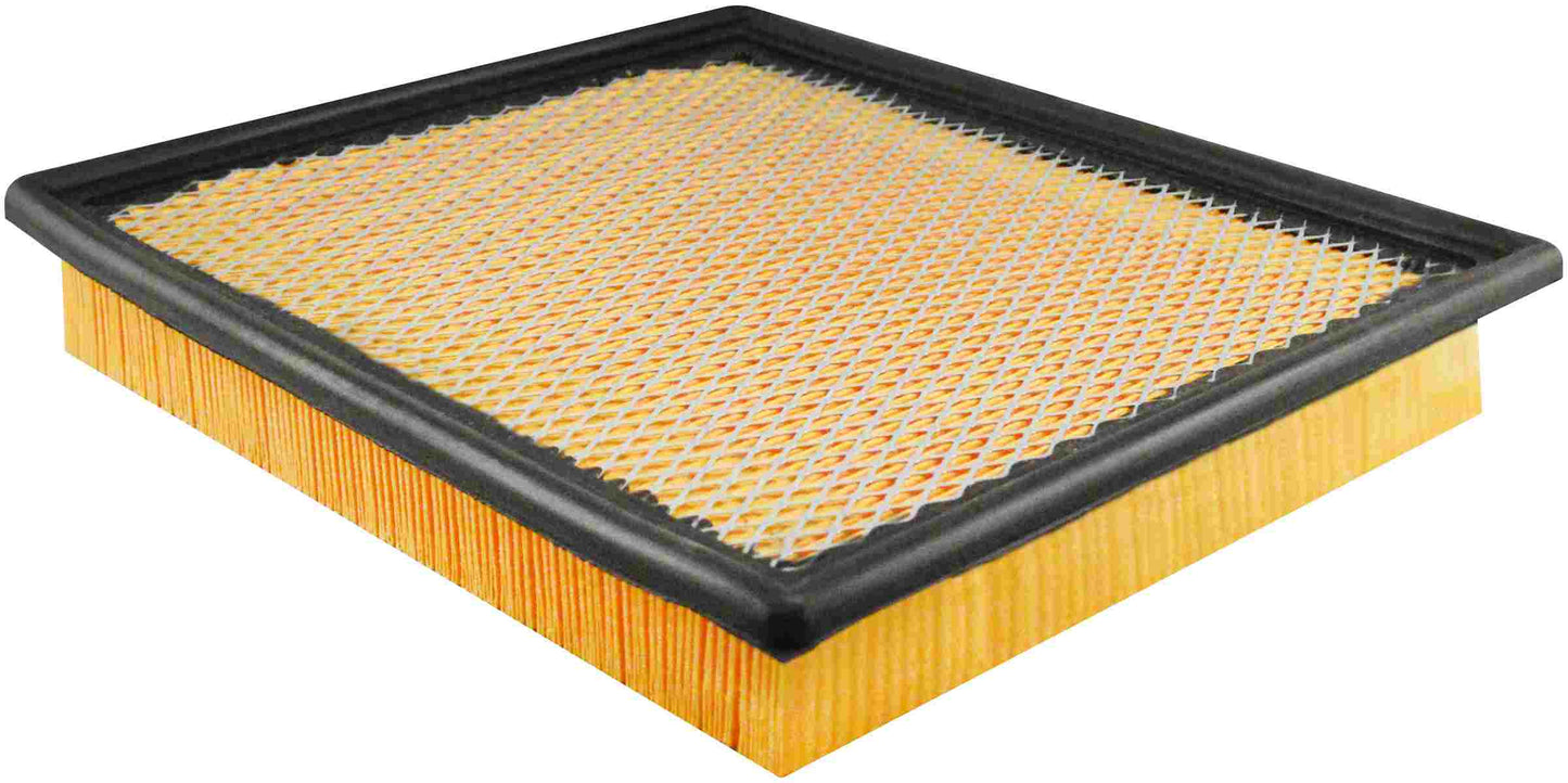 Baldwin Air Filter PA10001