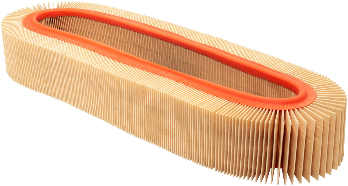 Baldwin Air Filter PA10116