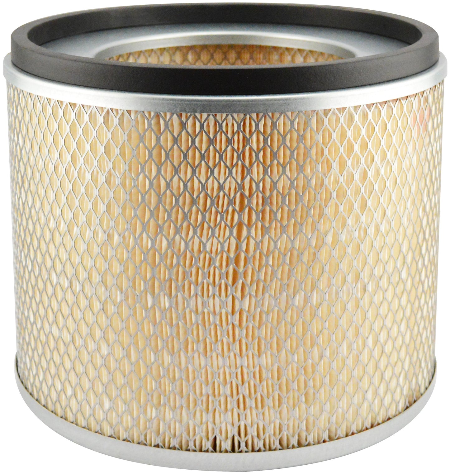 Baldwin Air Filter PA1620-S