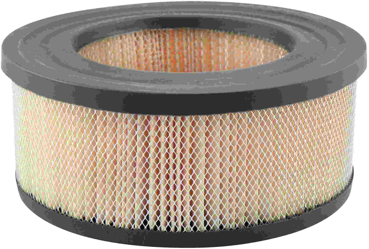 Baldwin Air Filter PA1648