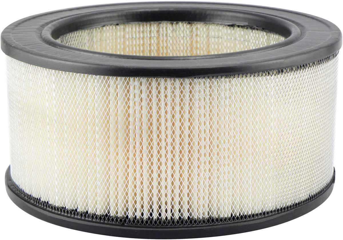 Baldwin Air Filter PA1719 main image