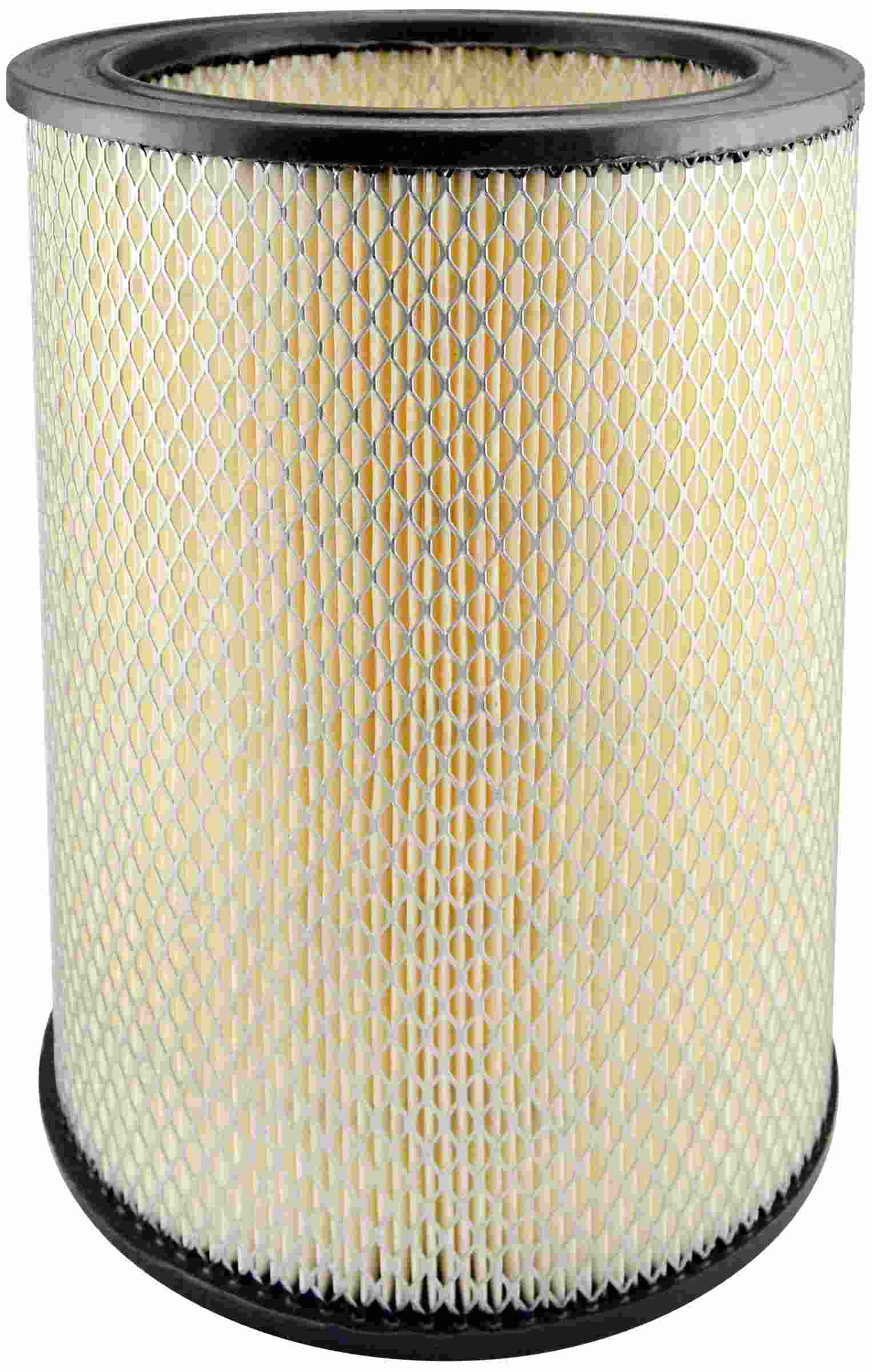 Baldwin Air Filter PA1795