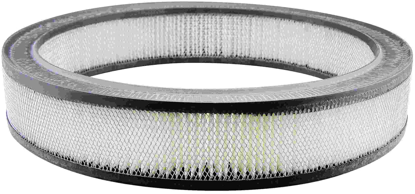 Baldwin Air Filter PA1802