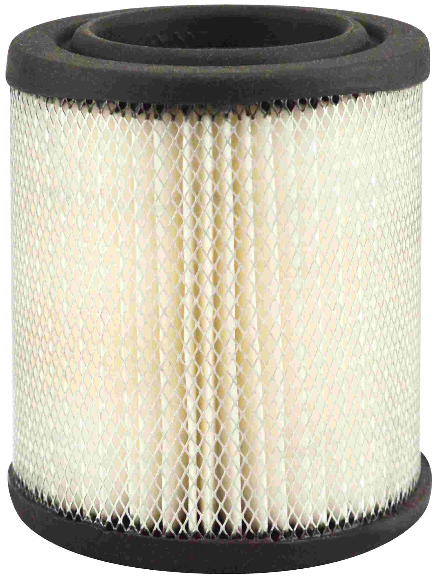 Baldwin Air Filter PA1859