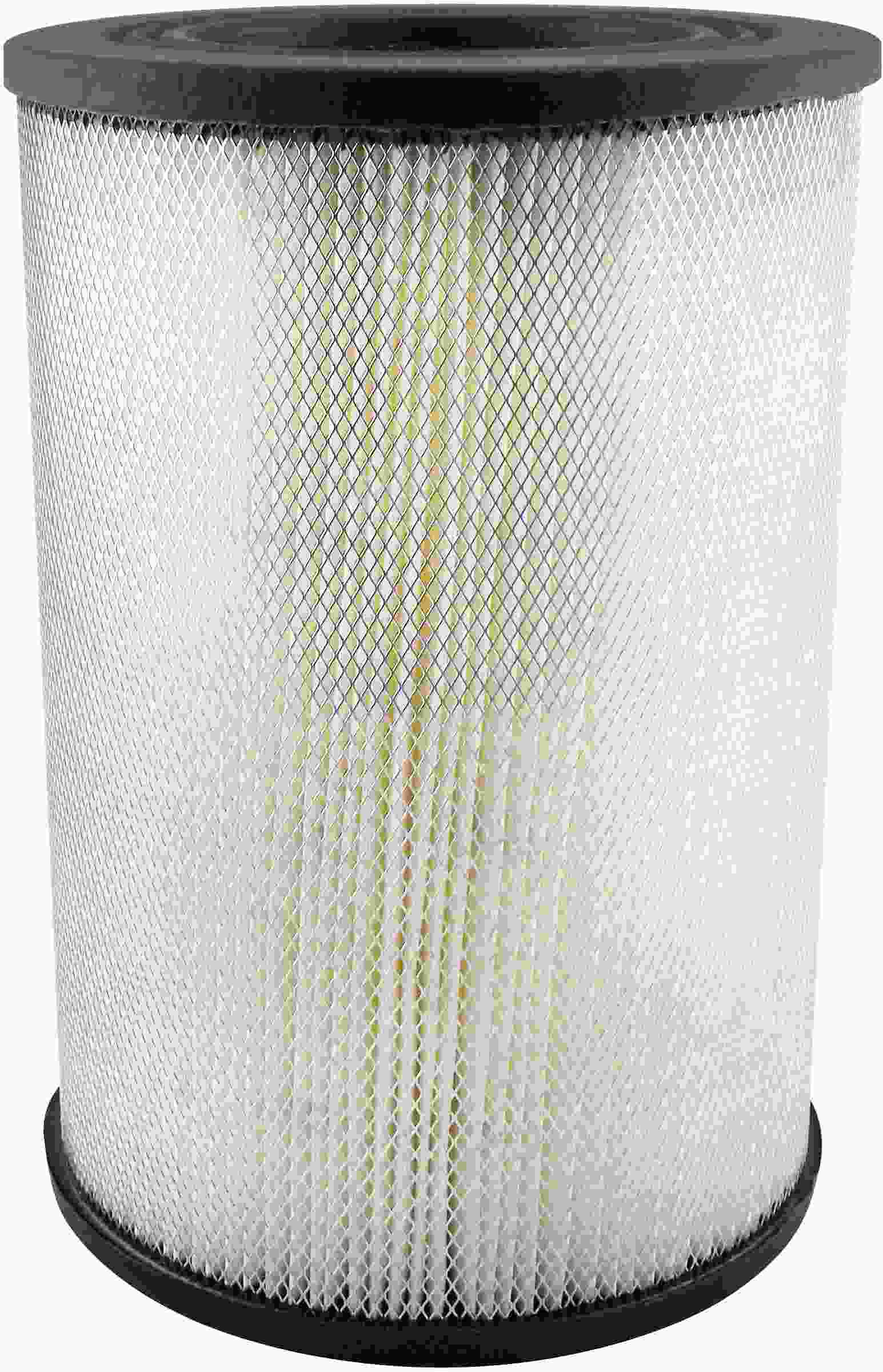 Baldwin Air Filter PA1901
