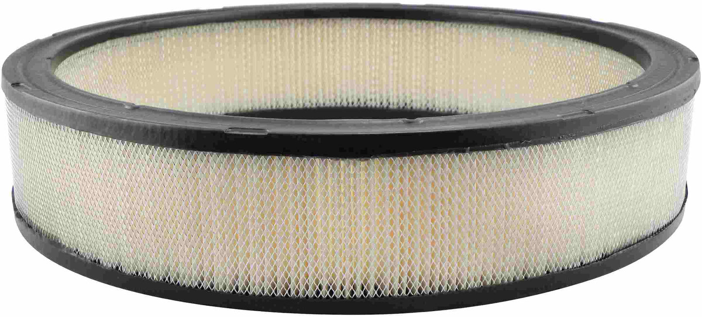 Baldwin Air Filter PA2002