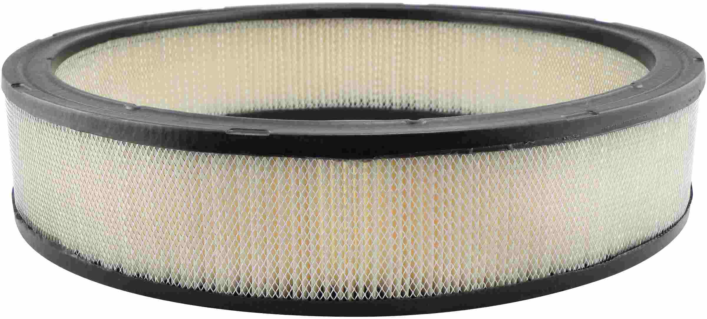 Baldwin Air Filter PA2002