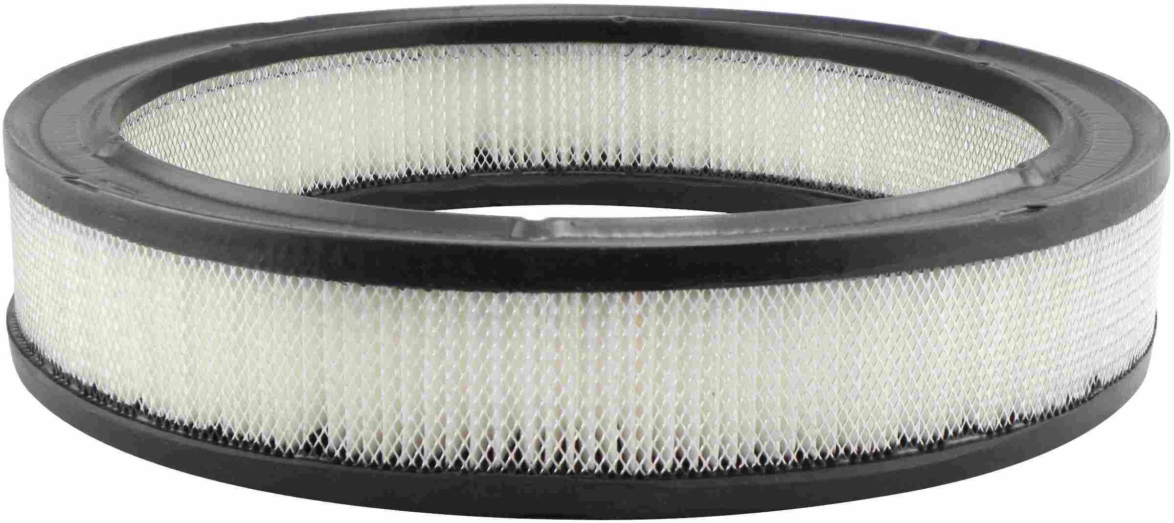 Baldwin Air Filter PA2005
