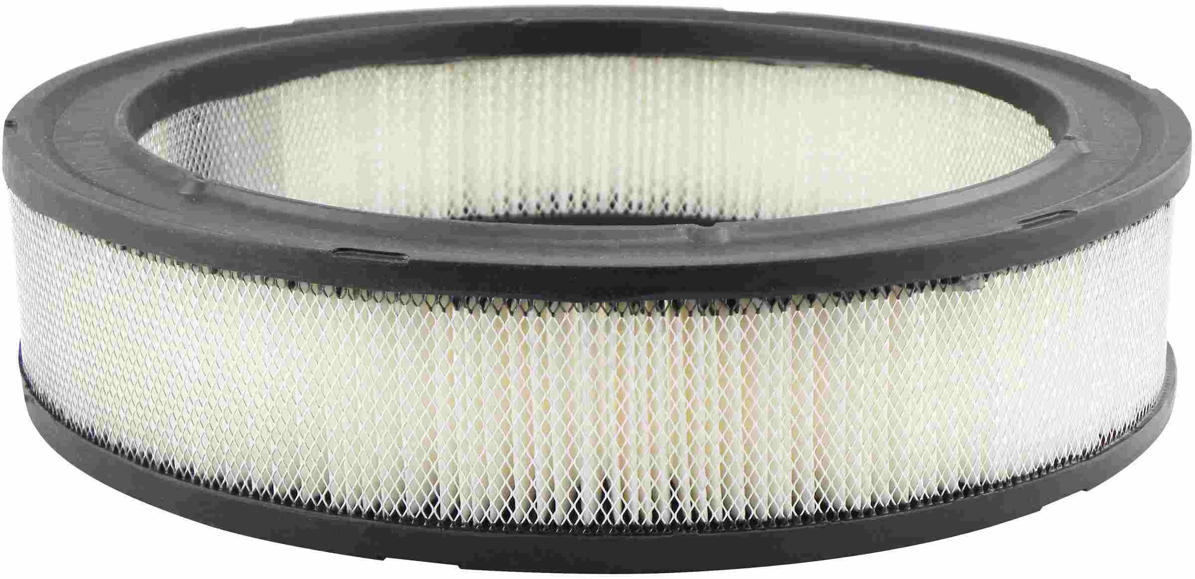 Baldwin Air Filter PA2007