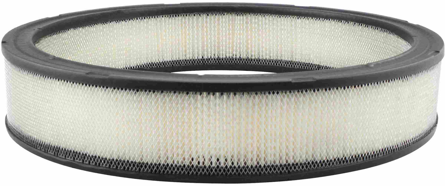 Baldwin Air Filter PA2024