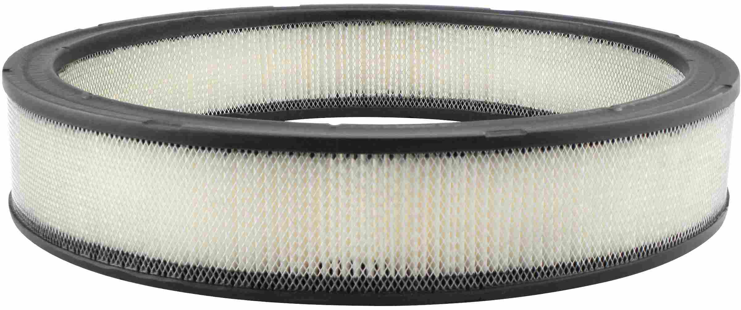 Baldwin Air Filter PA2024