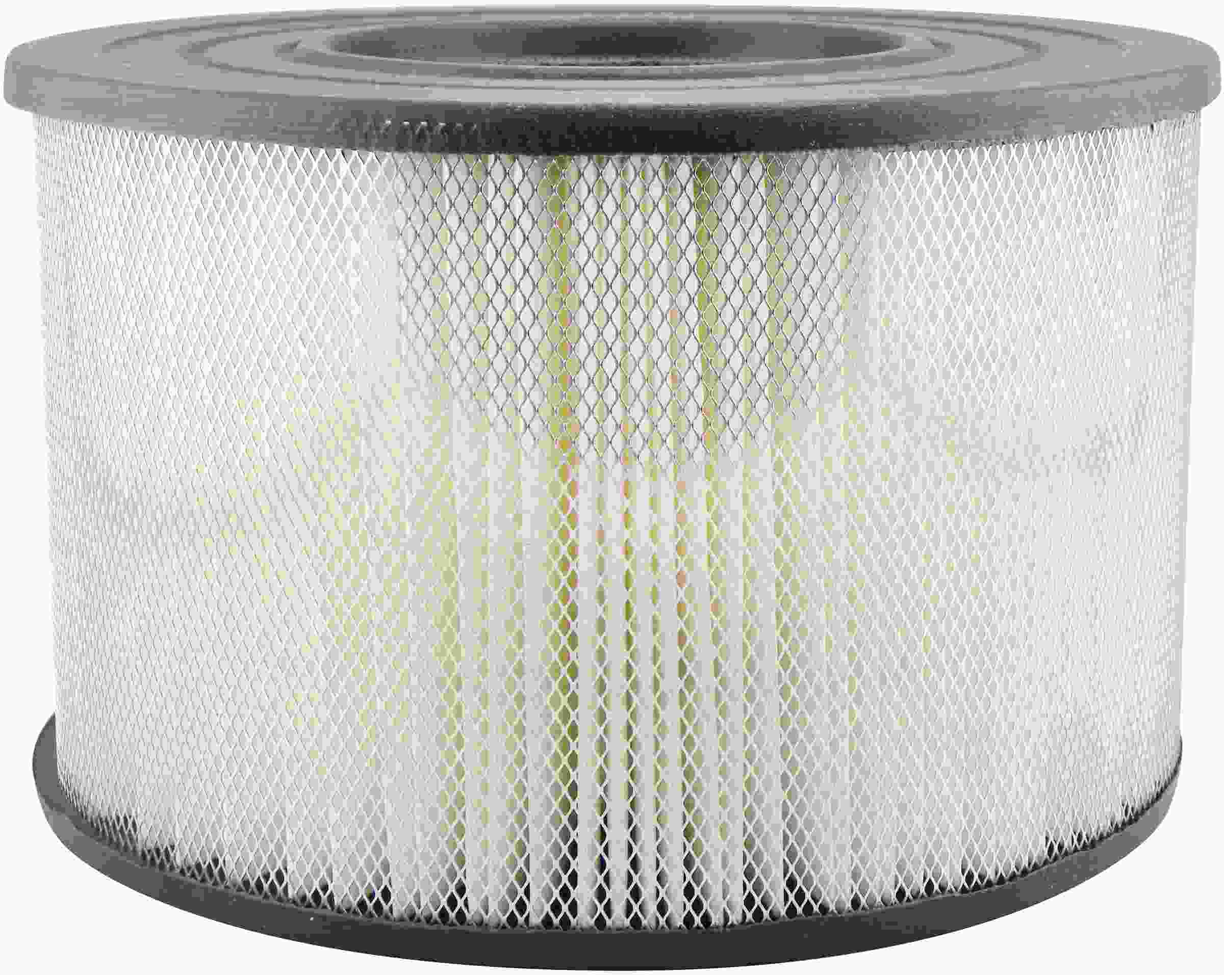 Baldwin Air Filter PA2042