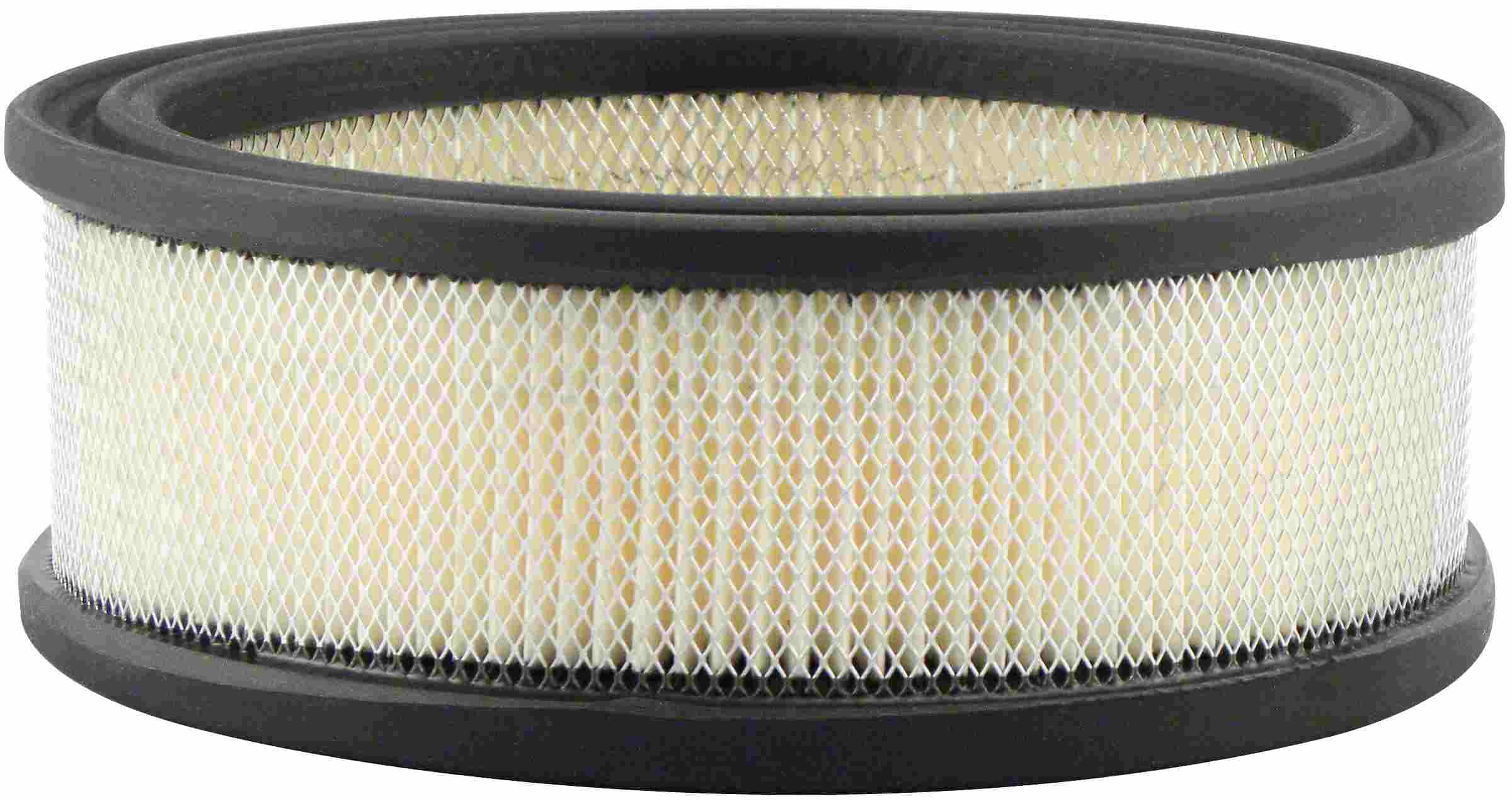 Baldwin Air Filter PA2069