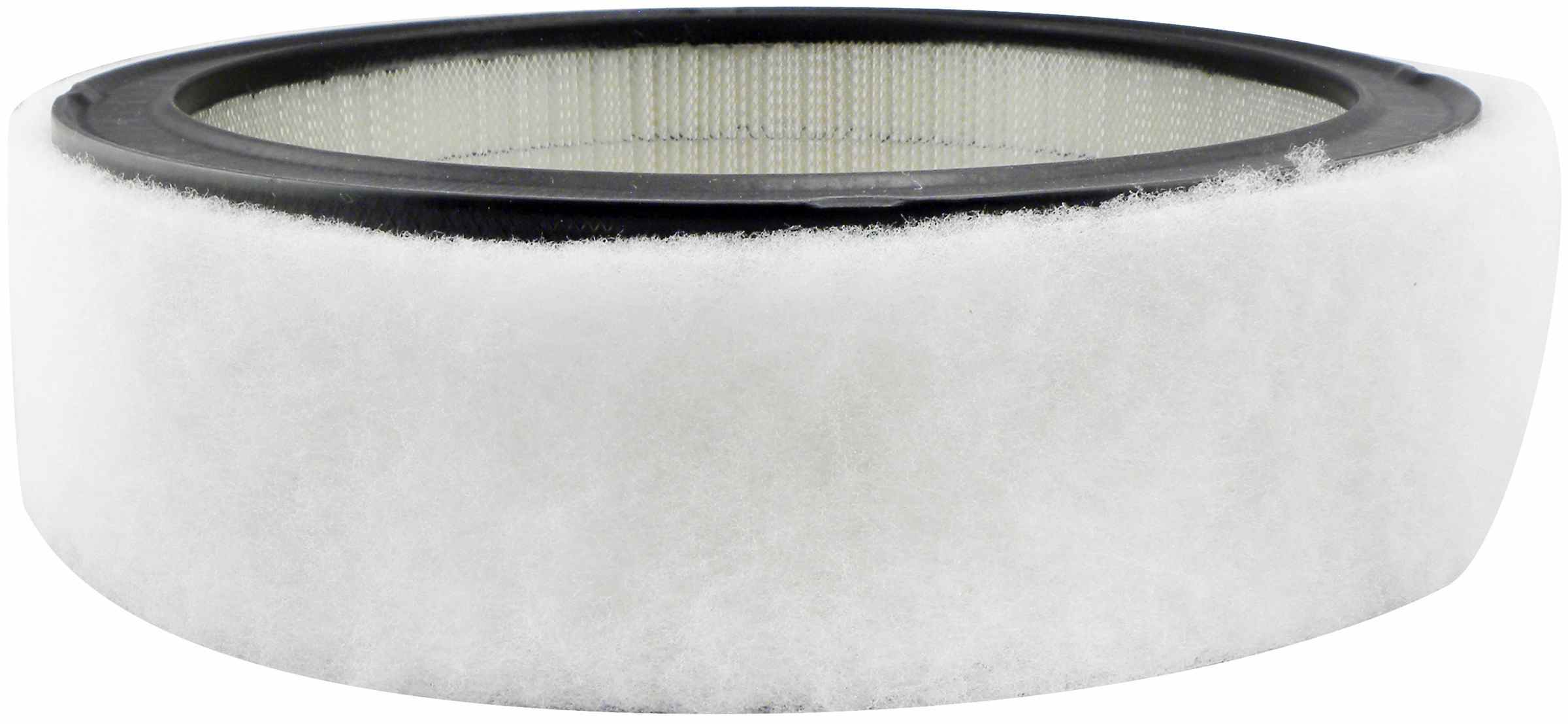 Baldwin Air Filter PA2073