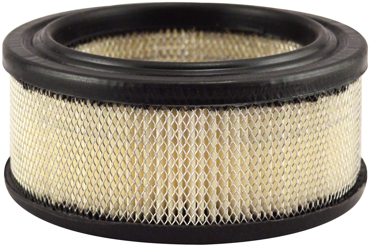 Baldwin Air Filter PA2096