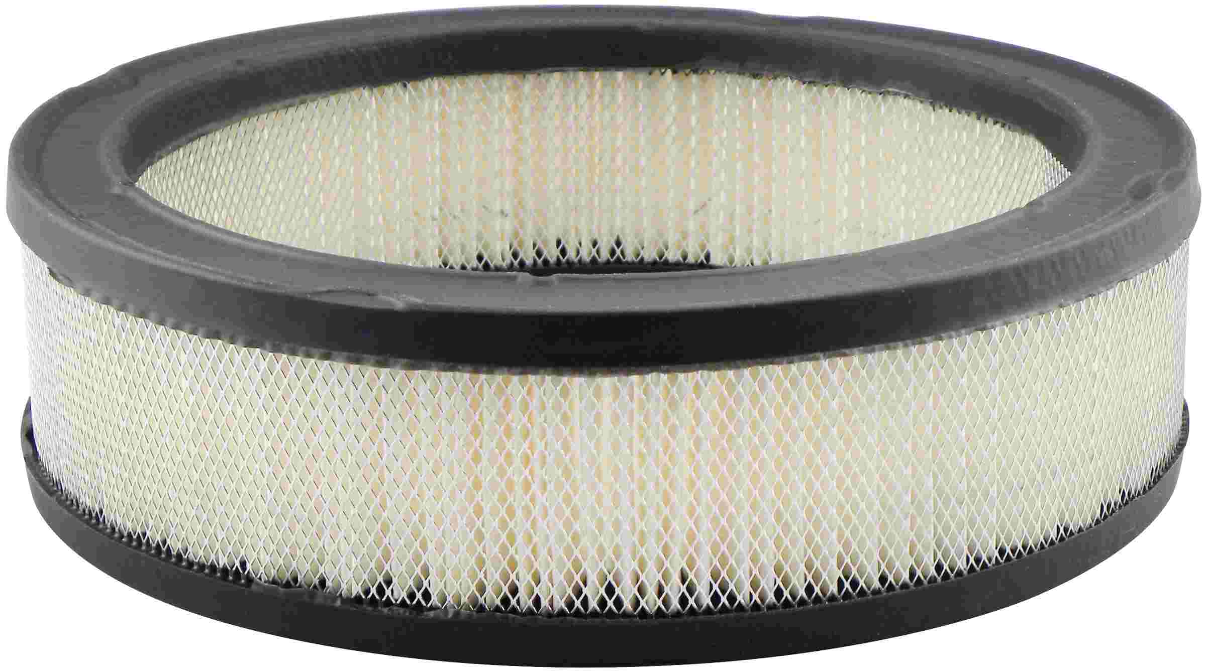 Baldwin Air Filter PA2109