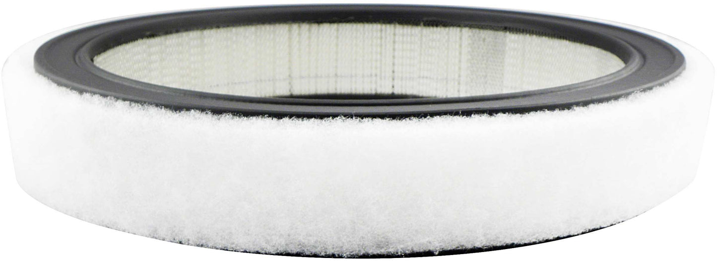 Baldwin Air Filter PA2110