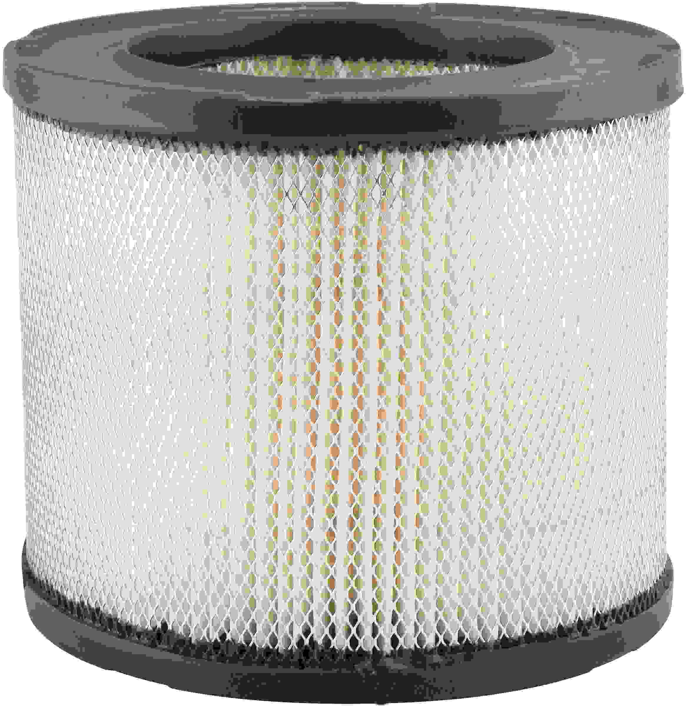 Baldwin Air Filter PA2134