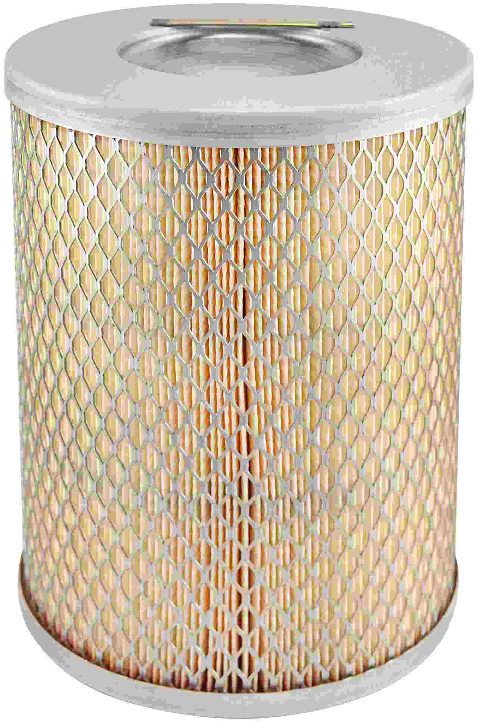 Baldwin Air Filter PA2422