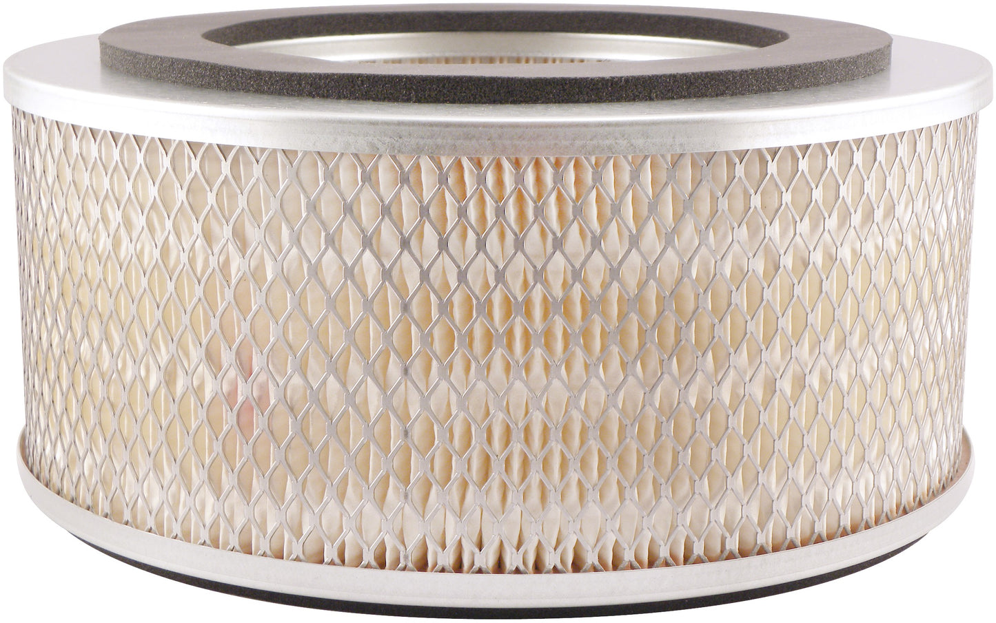Baldwin Air Filter PA2699